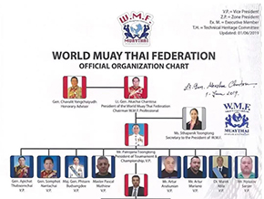 WMF世界泰联2021最新架构公布