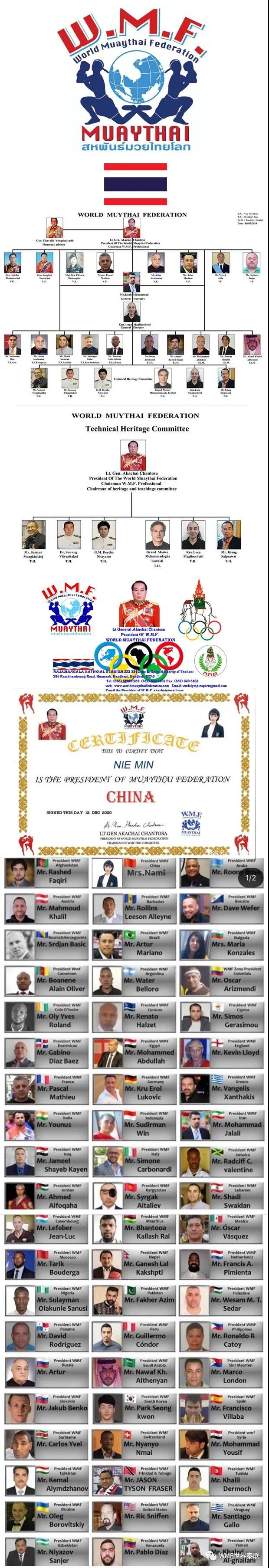 WMF，世界泰联，2021，最新架构，泰联